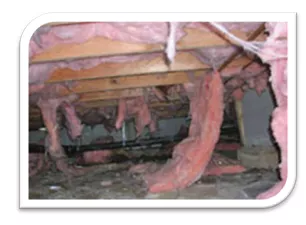 re_insulate