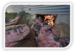 Pink fiberglass insulation on the ground outside a home.