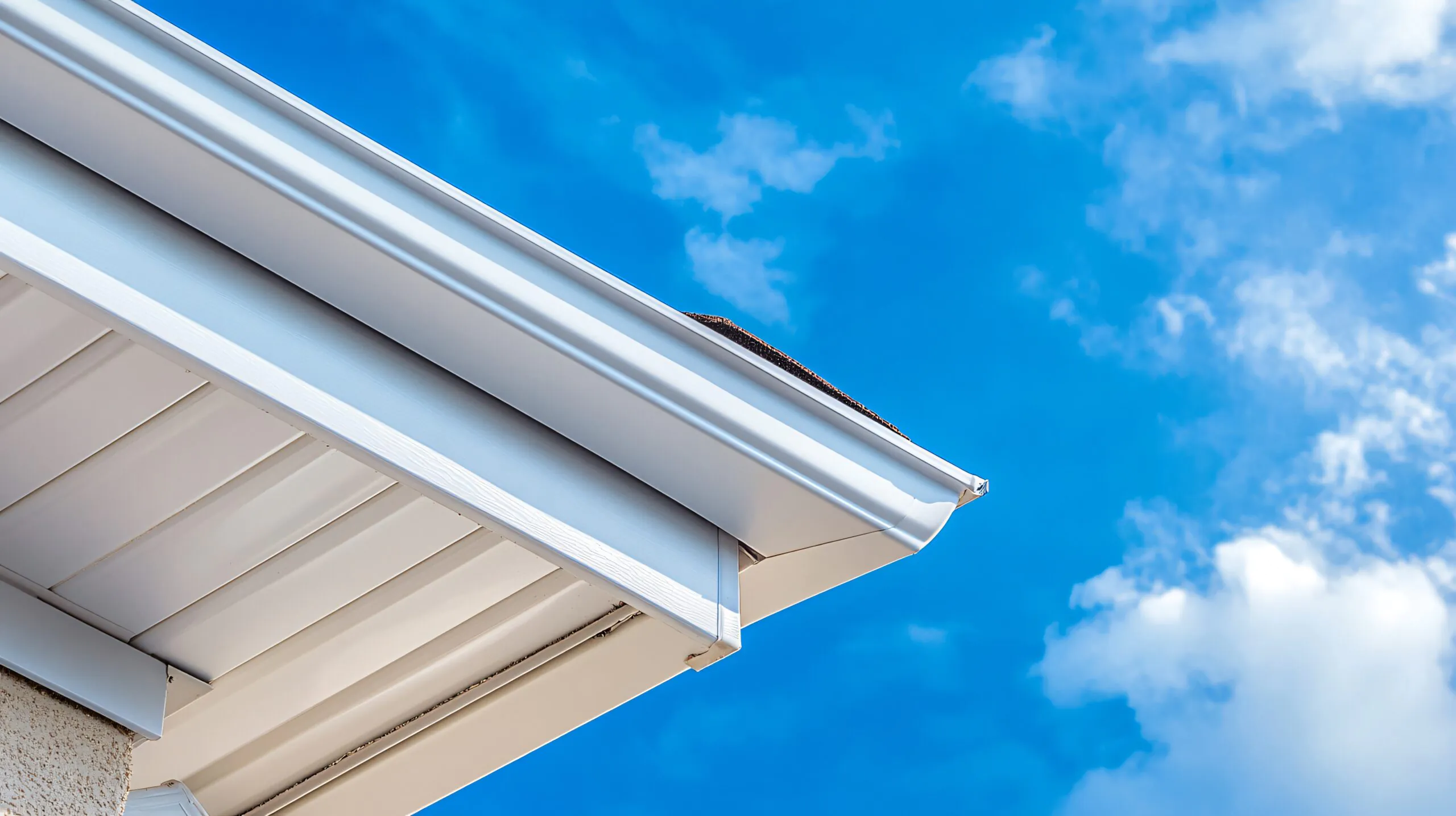 Seamless-Gutters-4-scaled